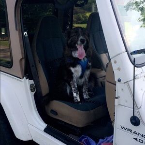 Meet your Posher, Olivia